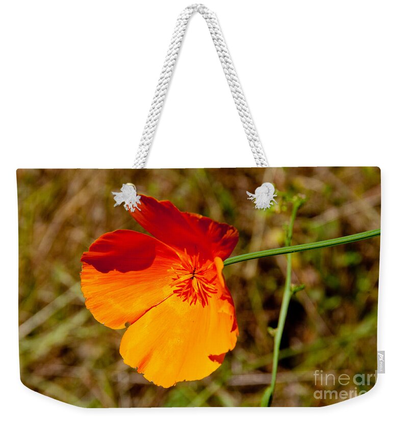 California Weekender Tote Bag featuring the digital art Poppies by Carol Ailles