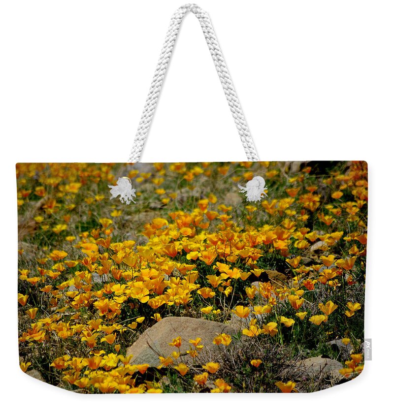 Photograph Weekender Tote Bag featuring the photograph Poppies Everywhere by Vicki Pelham