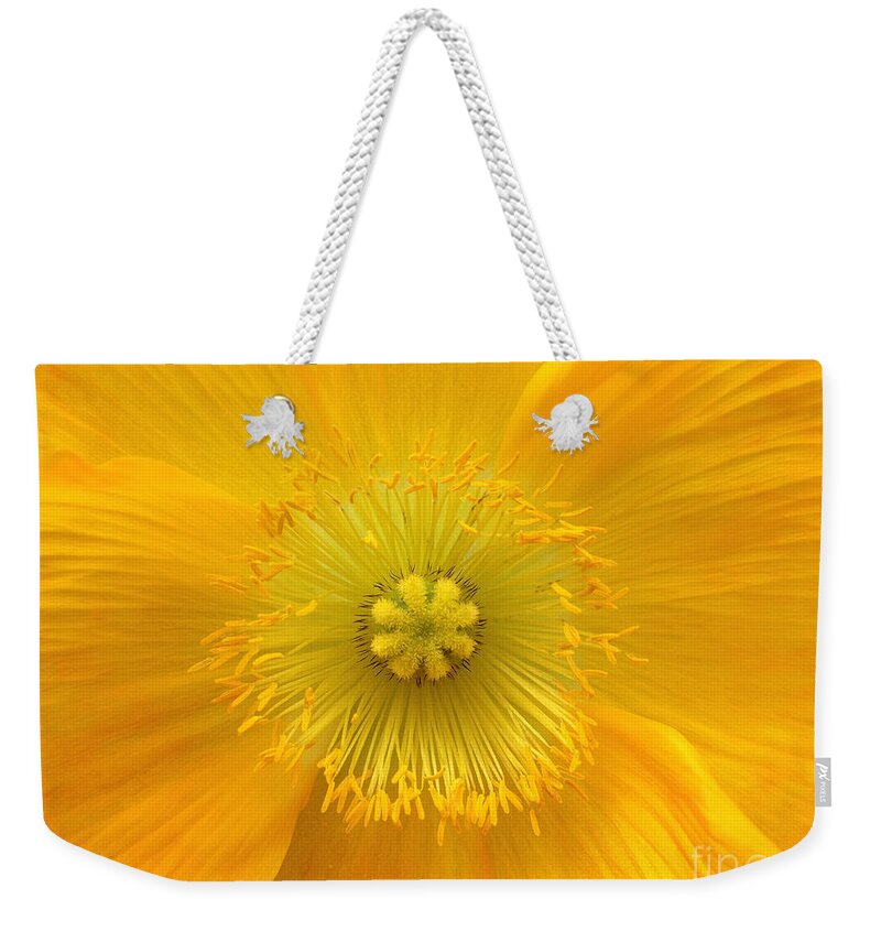 Yellow Weekender Tote Bag featuring the photograph Poppy 2 by Jacklyn Duryea Fraizer