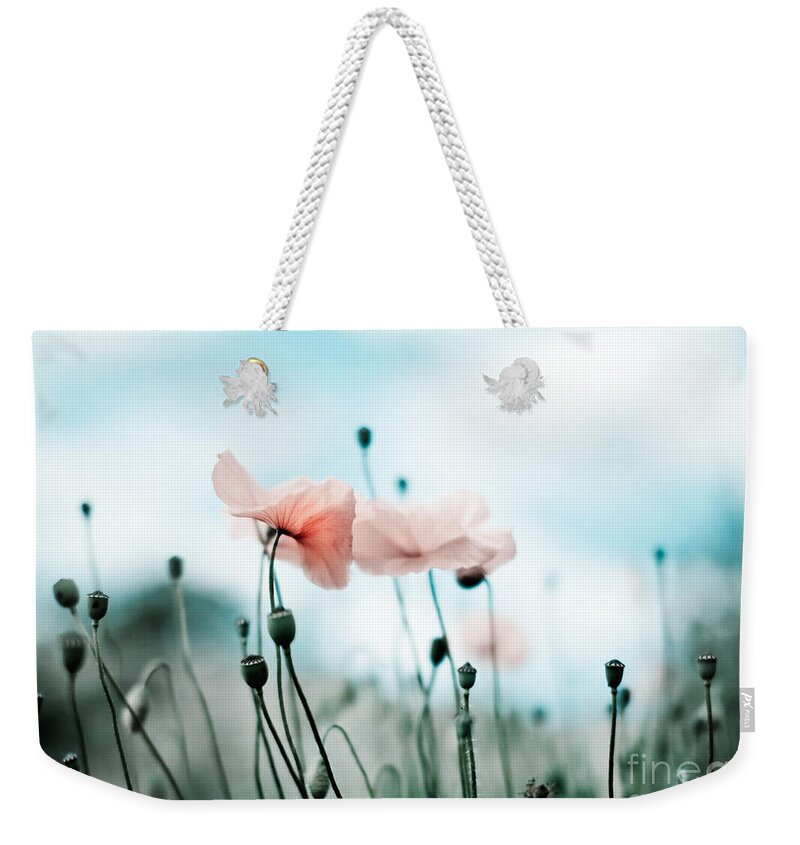 Poppy Weekender Tote Bag featuring the photograph Poppy Flowers 02 by Nailia Schwarz