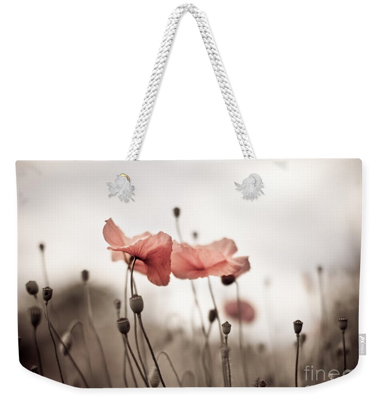 Poppy Weekender Tote Bag featuring the photograph Poppy Flowers 03 by Nailia Schwarz