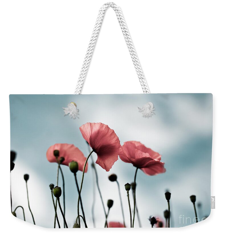 Poppy Weekender Tote Bag featuring the photograph Poppy Flowers 07 by Nailia Schwarz