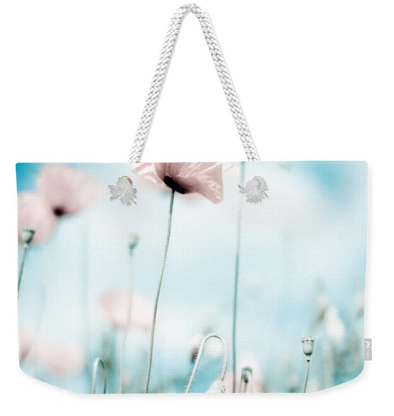 Poppy Weekender Tote Bag featuring the photograph Poppy Flowers 13 by Nailia Schwarz