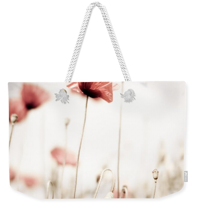 Poppy Weekender Tote Bag featuring the photograph Poppy Flowers 15 by Nailia Schwarz