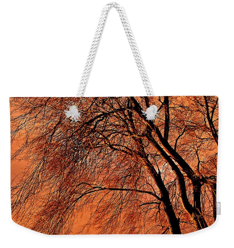Canada Weekender Tote Bag featuring the photograph Powerful Morning ... by Juergen Weiss