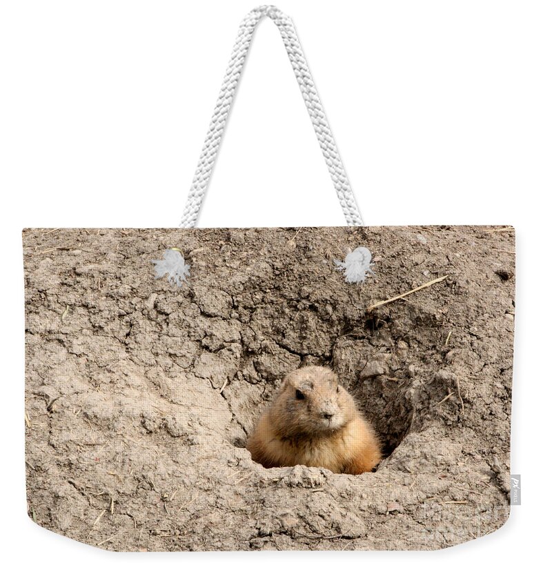 Animal Weekender Tote Bag featuring the photograph Prairie Dog by Mary Mikawoz