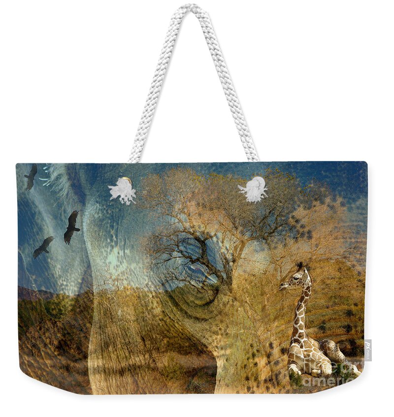 Photograph Weekender Tote Bag featuring the photograph Preservation by Vicki Pelham