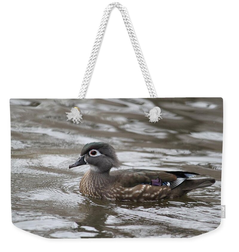 Wood Duck Weekender Tote Bag featuring the photograph Pretty Girl by Amy Gallagher