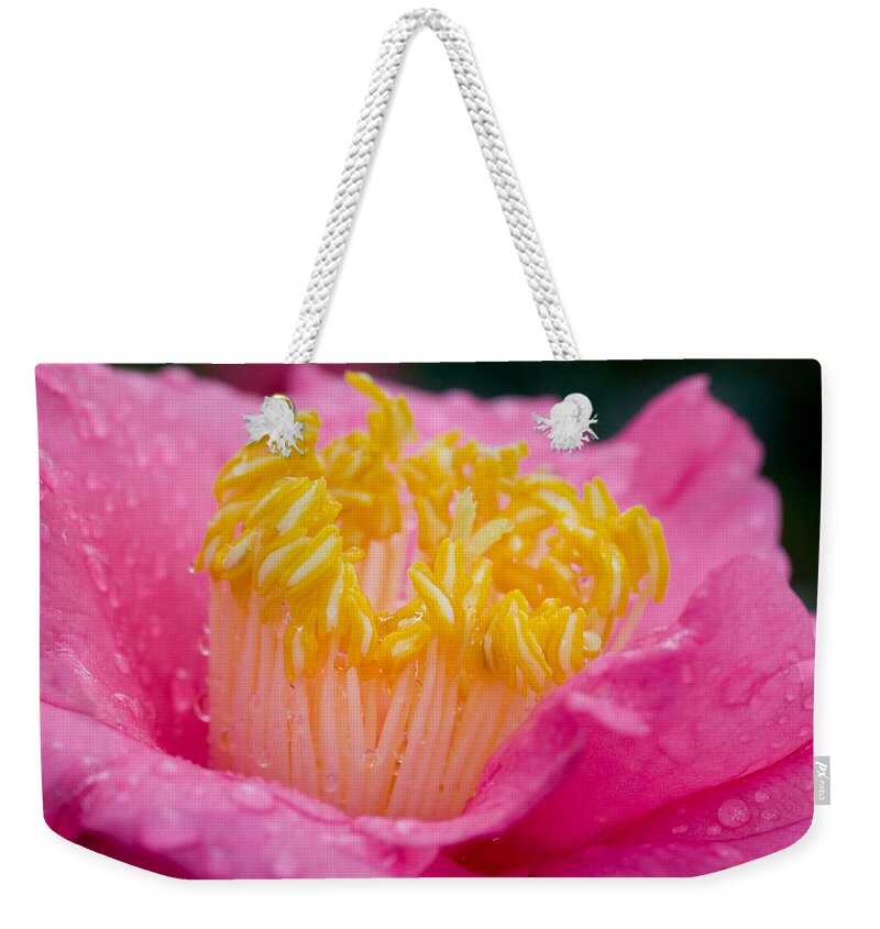 Camellia Weekender Tote Bag featuring the photograph Pretty in Pink by Rich Franco