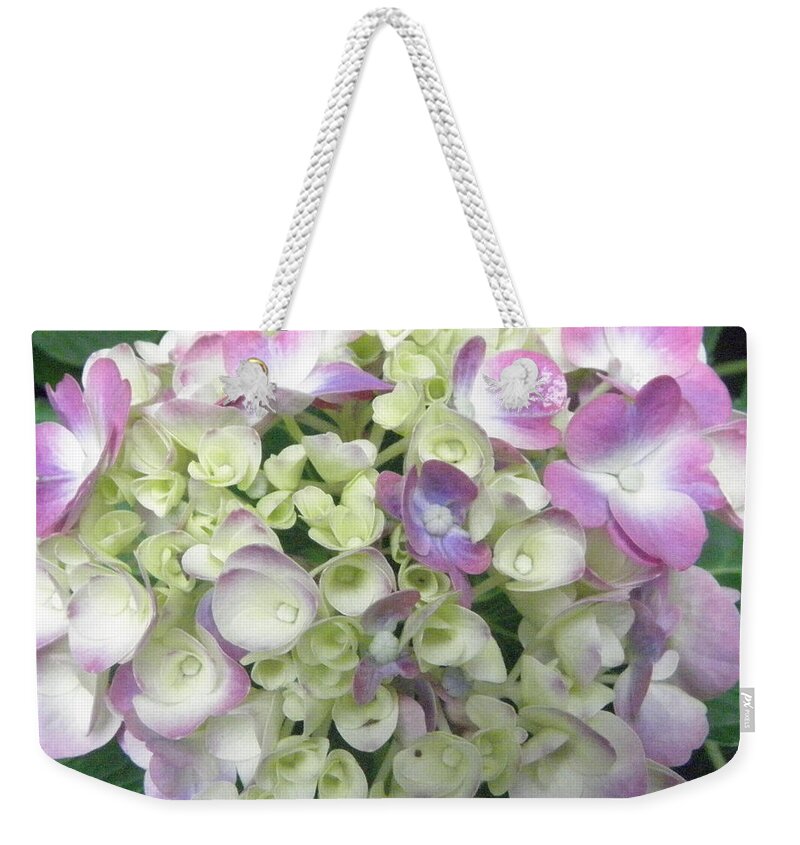 Hydrangea Weekender Tote Bag featuring the photograph Pretty Pastels by Kim Galluzzo