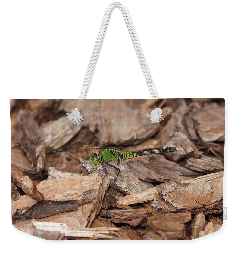 Dragonfly Weekender Tote Bag featuring the photograph Profile of Green Dragonfly by Megan Cohen