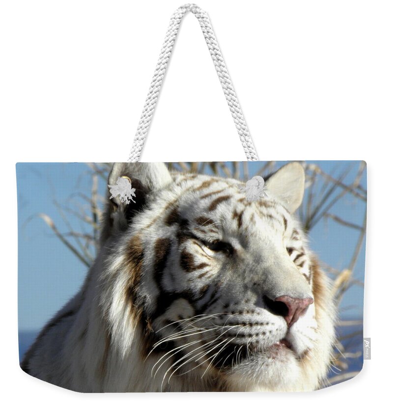White Tiger Weekender Tote Bag featuring the photograph Profile Power by Kim Galluzzo