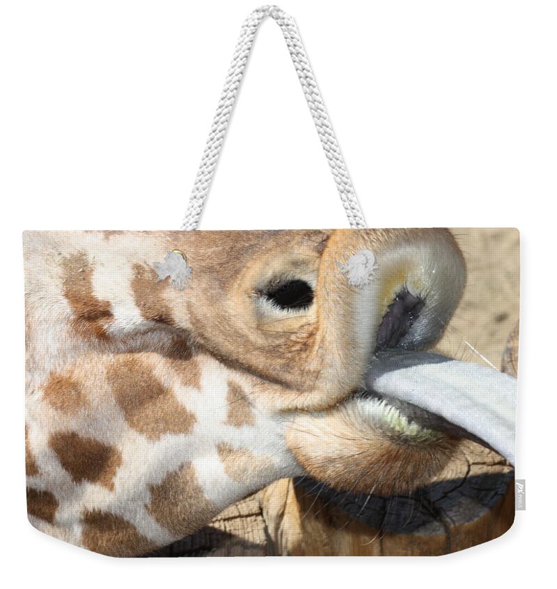 Giraffe Weekender Tote Bag featuring the photograph Pucker Up by Kim Galluzzo Wozniak