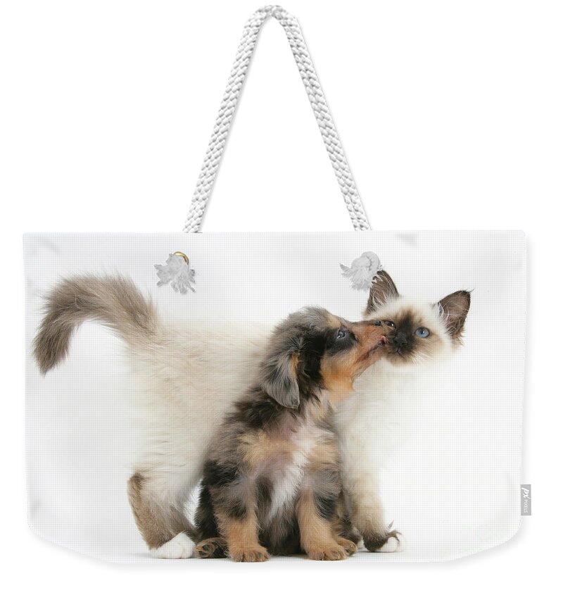 Animal Weekender Tote Bag featuring the photograph Puppy Licking Kitten by Mark Taylor