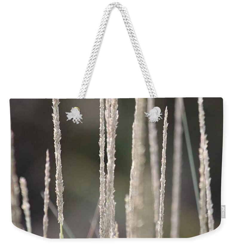 Grass Weekender Tote Bag featuring the photograph Pure by Amy Gallagher