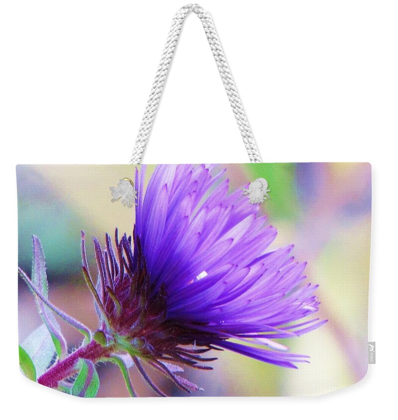 Aster Weekender Tote Bag featuring the photograph Purple Aster by Michele Penner
