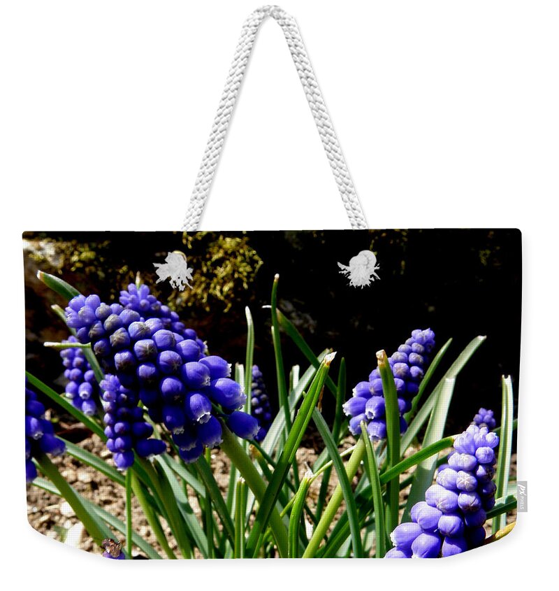 Flowers Weekender Tote Bag featuring the photograph Purple Bells Of Beauty by Kim Galluzzo