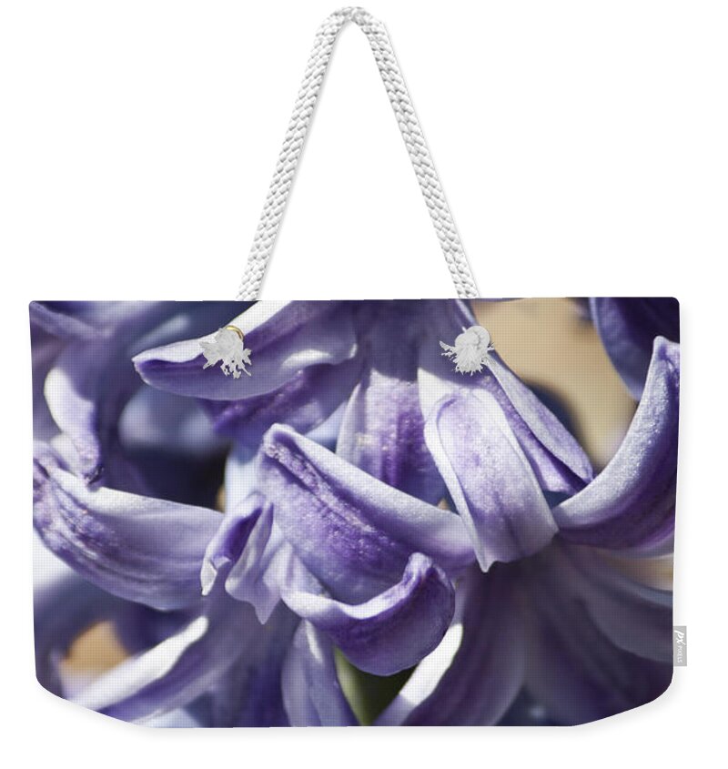 Hyacinth Weekender Tote Bag featuring the photograph Purple Hyacinth 3 by Teresa Mucha