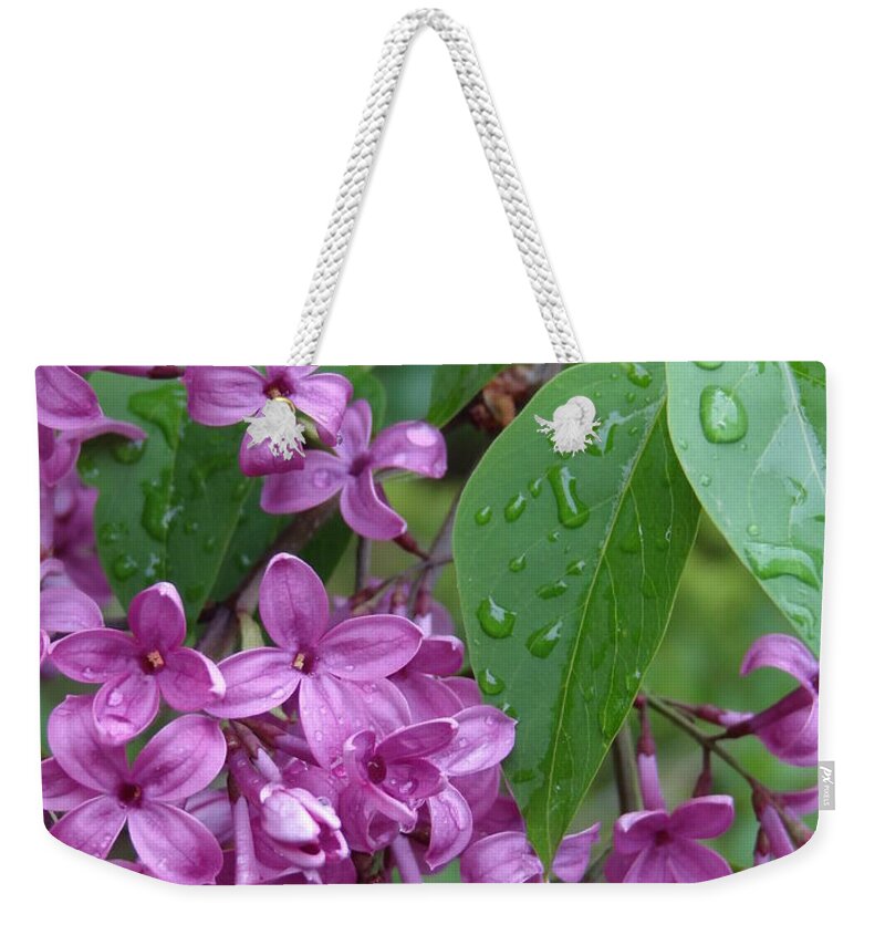 Purple Lilac Weekender Tote Bag featuring the photograph Purple Lilac by Laurel Best