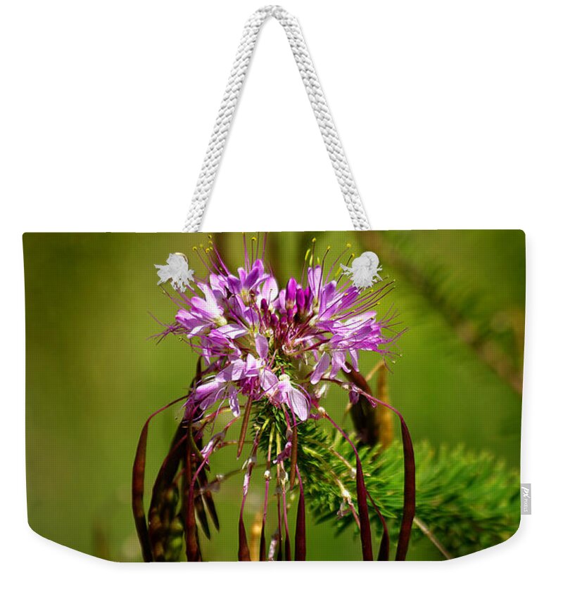 Lava Beds Weekender Tote Bag featuring the photograph Purple Pizzazz by Vicki Pelham