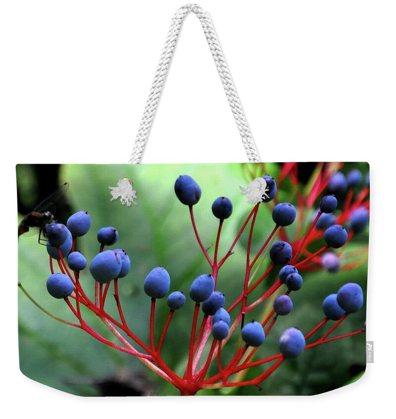  Weekender Tote Bag featuring the photograph Purple Wonder by Mark Valentine