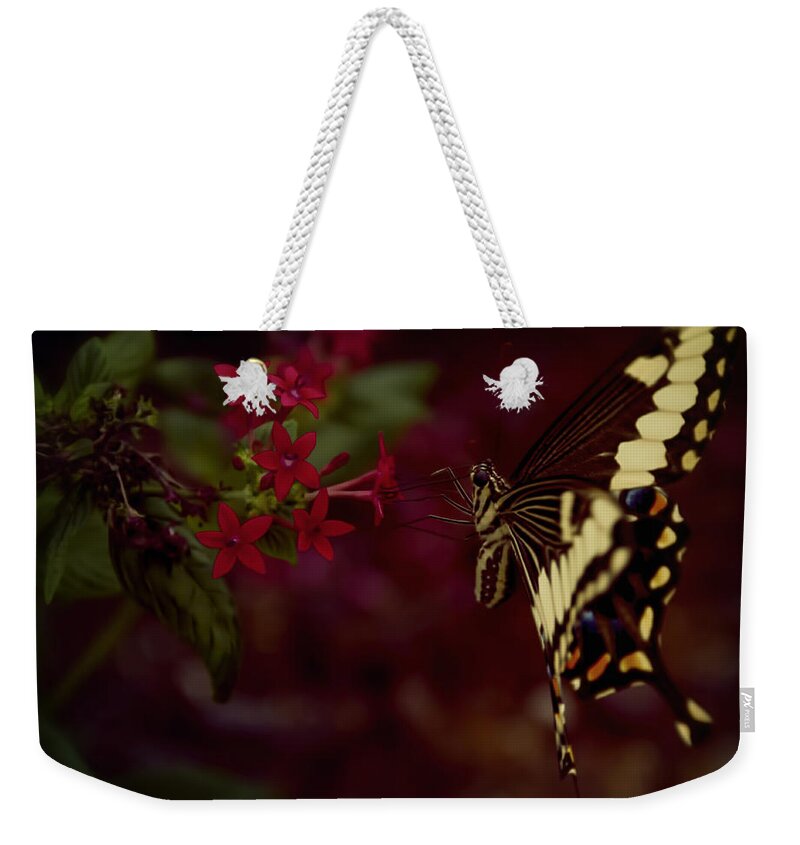 Nature Weekender Tote Bag featuring the photograph Radiant Swallowtail by Linda Tiepelman