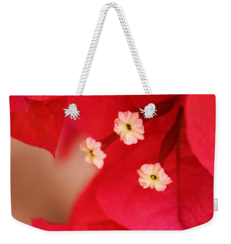 Bougenvilla Weekender Tote Bag featuring the photograph Radish Red by Julie Lueders 