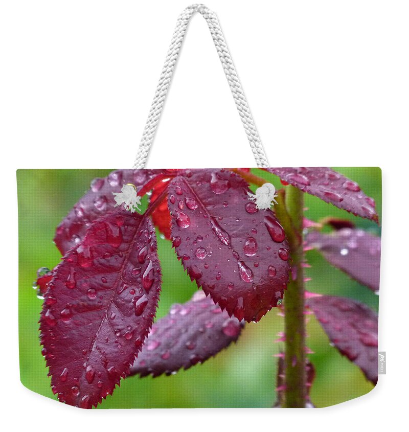 Leaf Weekender Tote Bag featuring the photograph Rain Soaked by Juergen Roth