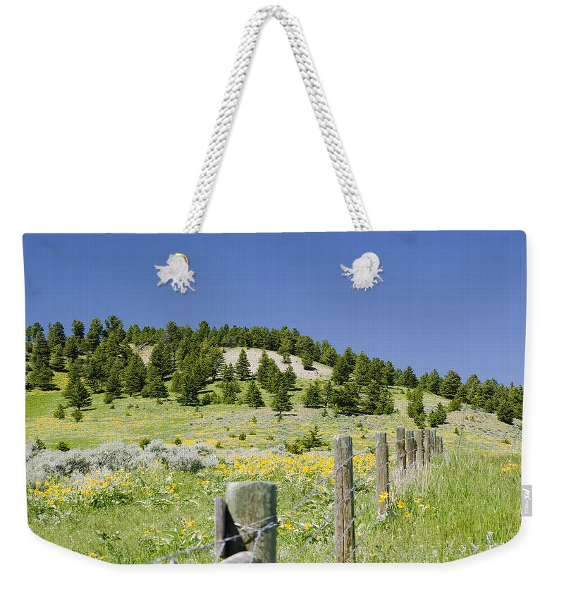 Americas Weekender Tote Bag featuring the photograph Rangeland Wild Flowers by Roderick Bley