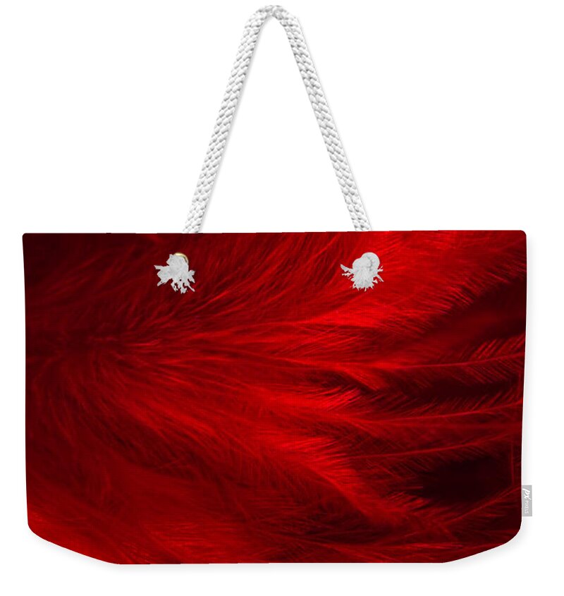 Feathers Weekender Tote Bag featuring the photograph Red Feathers - 1 by Ann Garrett