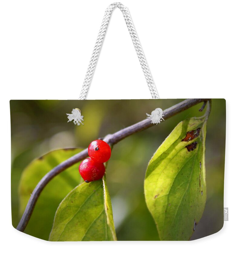 Fruits Weekender Tote Bag featuring the photograph Red Fruits by Milena Ilieva