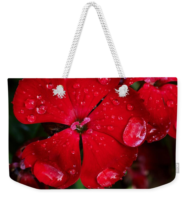 Red Weekender Tote Bag featuring the photograph Red by Ivan Slosar