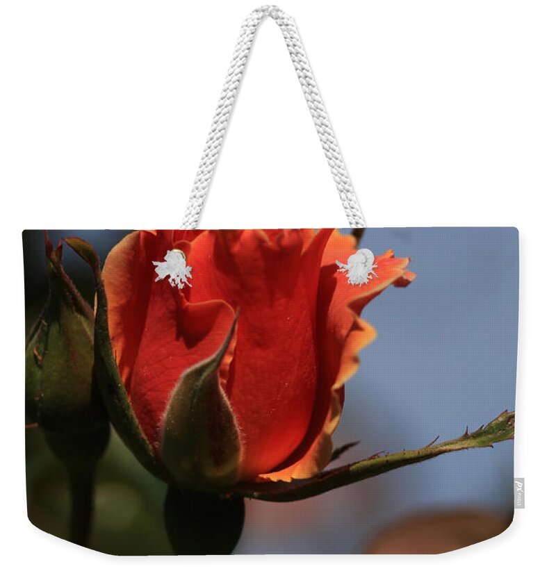 Floral Weekender Tote Bag featuring the photograph Red Rose Bud vert by Donna Corless