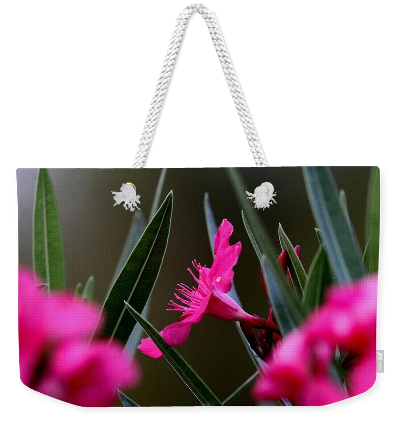 Red Flower Weekender Tote Bag featuring the photograph Red Flower by Travis Truelove