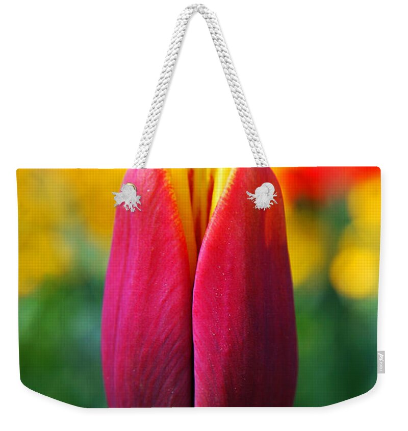 Yhun Suarez Weekender Tote Bag featuring the photograph Red Tulip by Yhun Suarez