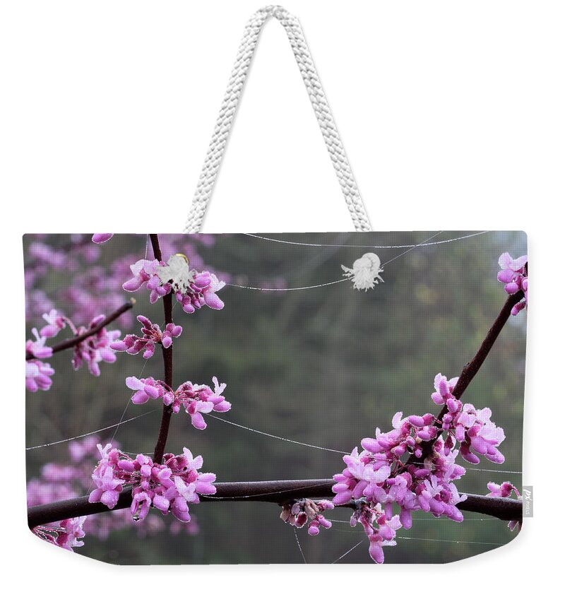 Cercis Canadensis Weekender Tote Bag featuring the photograph Redbud With Webs And Dew by Daniel Reed