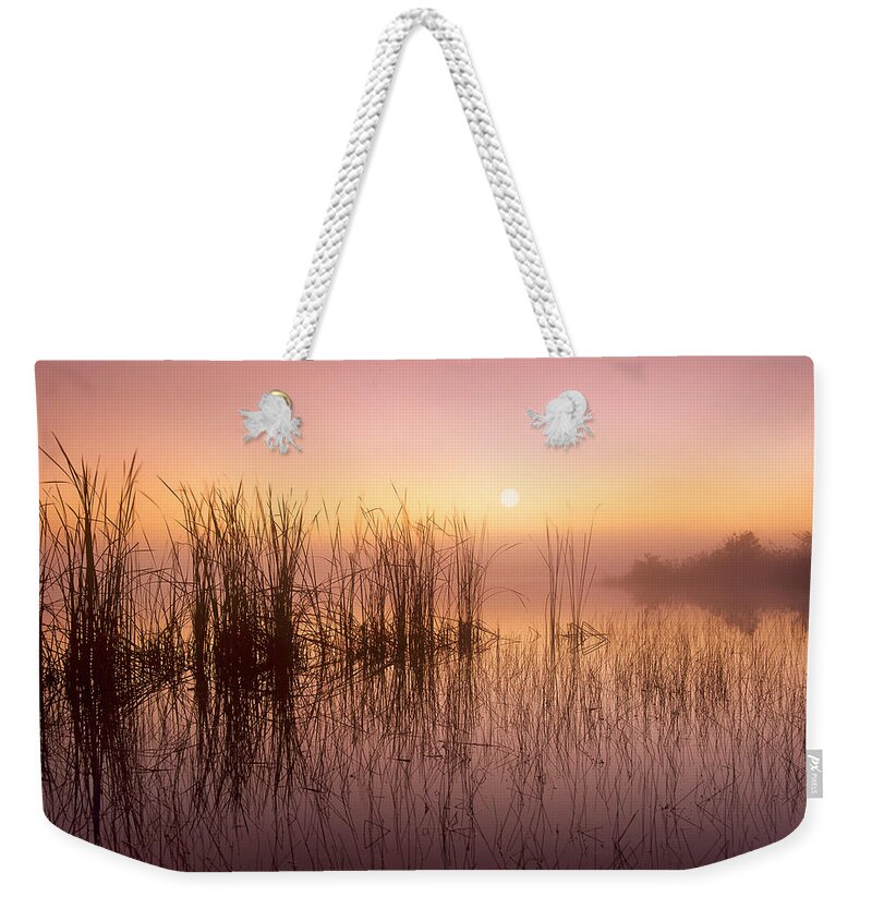 00175968 Weekender Tote Bag featuring the photograph Reeds Reflected In Sweet Bay Pond by Tim Fitzharris