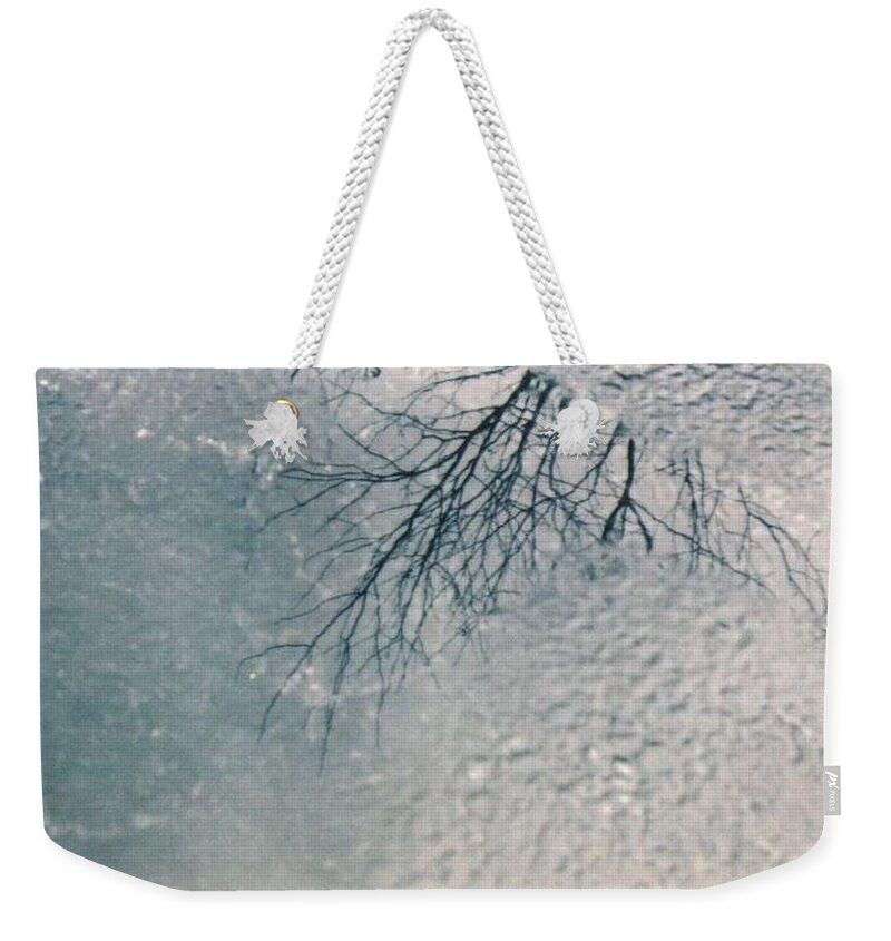 Tree Weekender Tote Bag featuring the photograph Reflection by Samantha Lusby