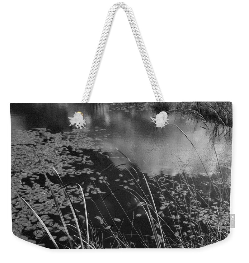 Water Weekender Tote Bag featuring the photograph Reflections in the Pond by Kathleen Grace