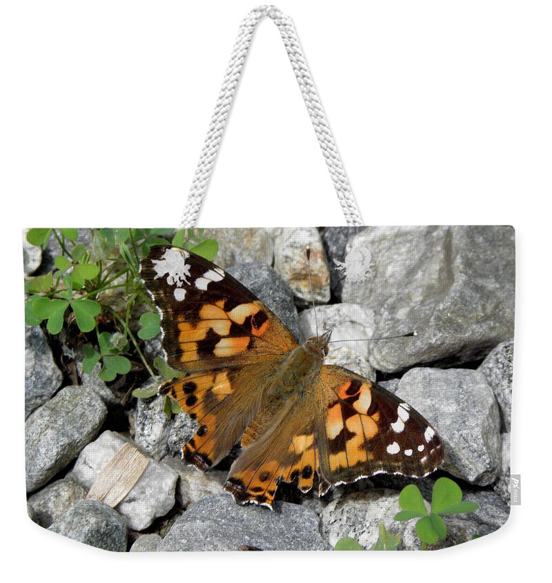 Butterfly Weekender Tote Bag featuring the photograph Resting On Rocky Clovers by Kim Galluzzo Wozniak