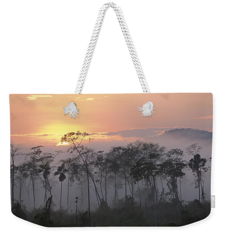 Mp Weekender Tote Bag featuring the photograph River Edge At Dawn, Lower Urubamba by Pete Oxford