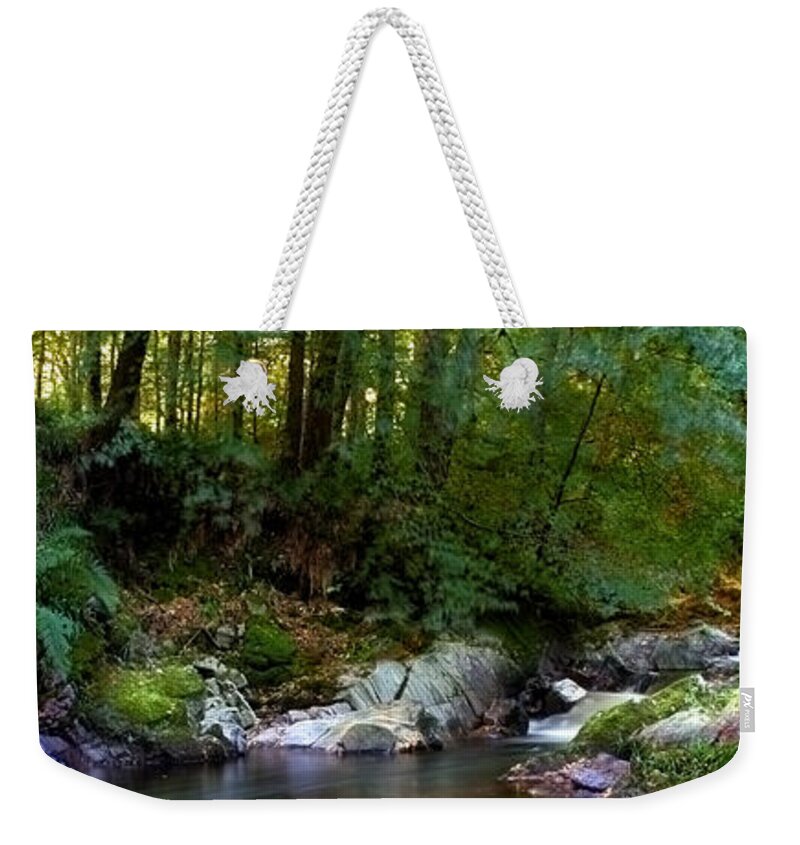 Rock Weekender Tote Bag featuring the photograph River in Cawdor Big Wood by Joe Macrae