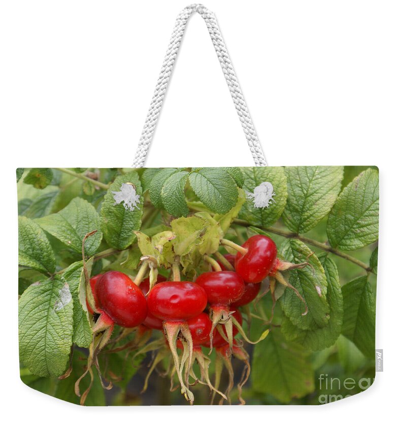 Architecture Weekender Tote Bag featuring the digital art Rosehips by Carol Ailles