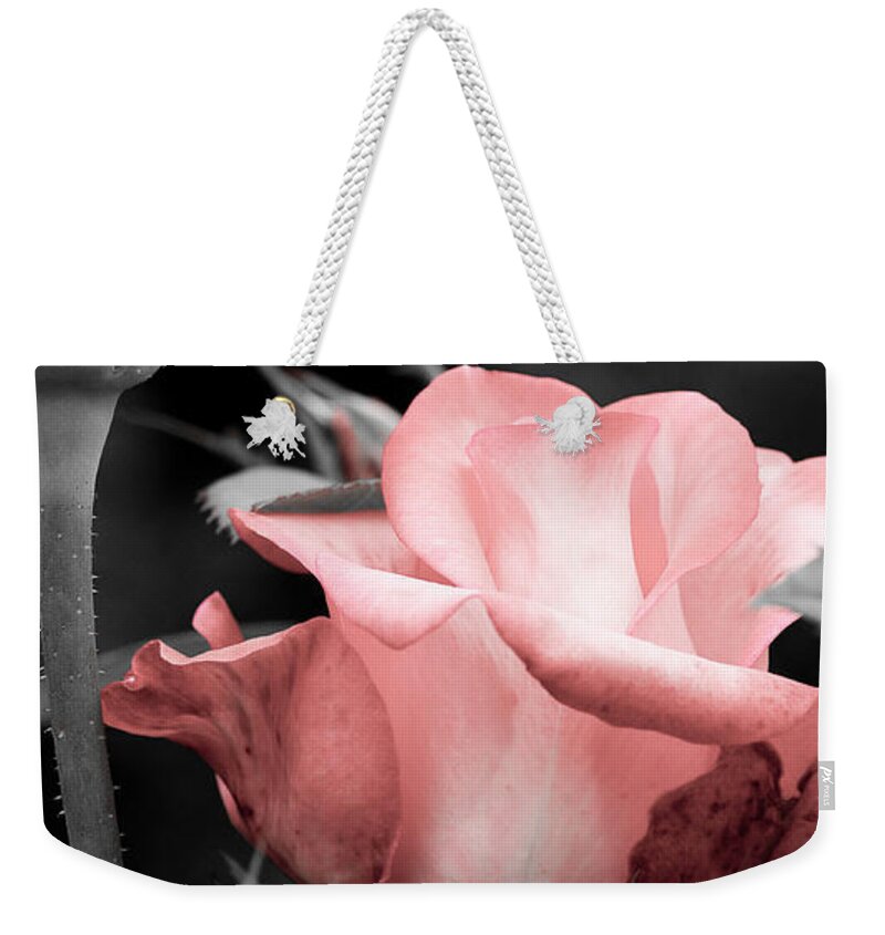 Selective Color Weekender Tote Bag featuring the photograph Roses in Pink and Gray by Michelle Joseph-Long