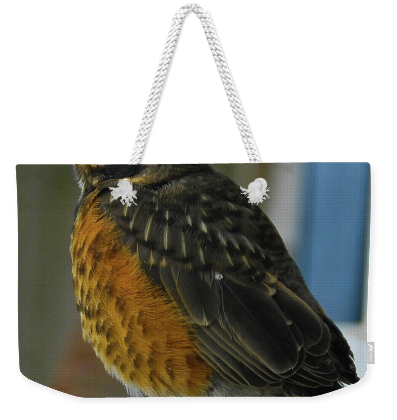 Birds Weekender Tote Bag featuring the photograph Ruffian by Guy Whiteley