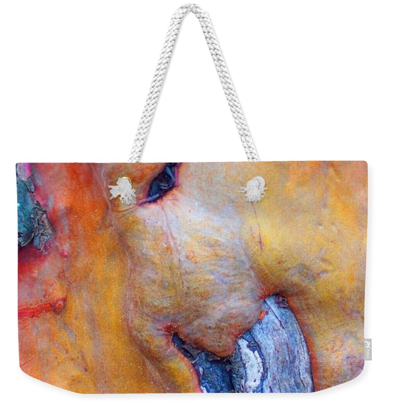 Nature Weekender Tote Bag featuring the digital art Sacred by Richard Laeton