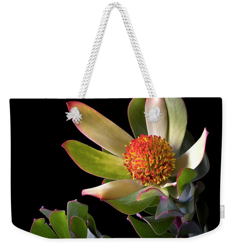 Flower Weekender Tote Bag featuring the photograph Safari Sunset by Endre Balogh