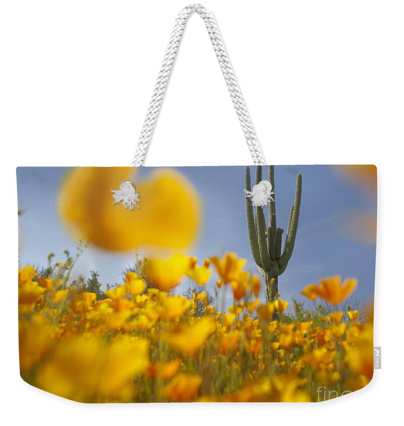 00443062 Weekender Tote Bag featuring the photograph Saguaro Cactus And California Poppies by Tim Fitzharris