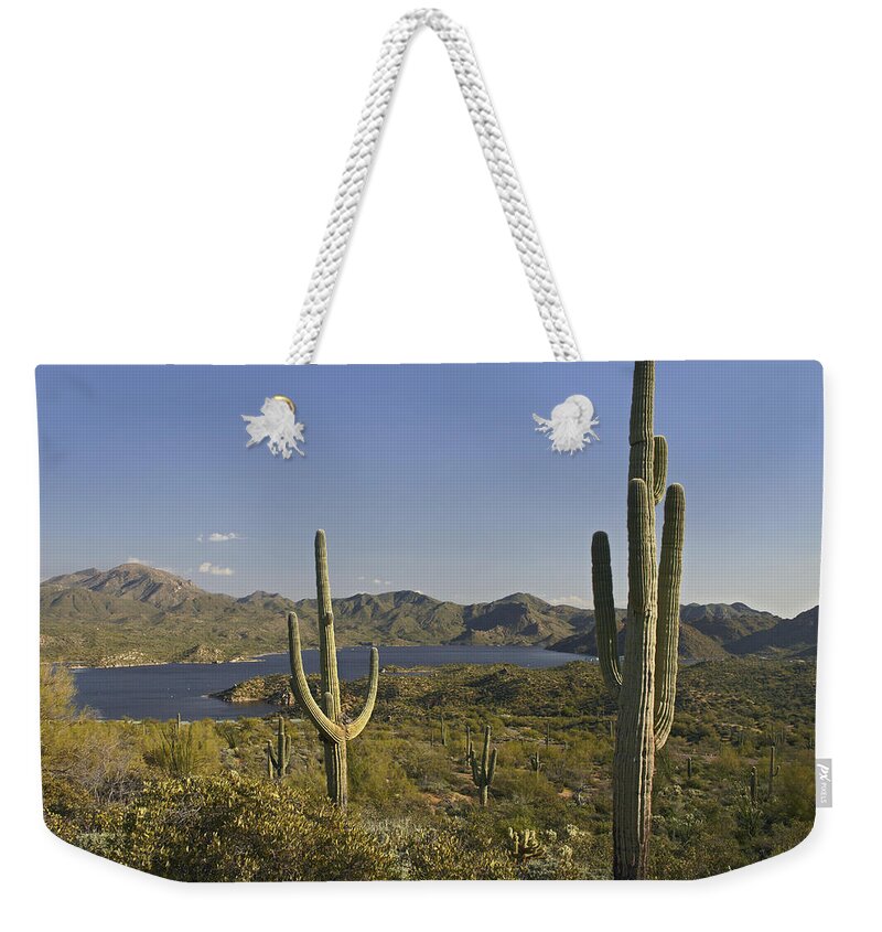 00443055 Weekender Tote Bag featuring the photograph Saguaro Cactus At Bartlett Lake Arizona by Tim Fitzharris