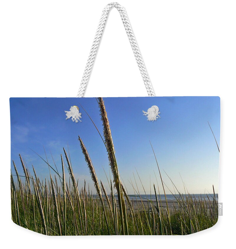 Sand Dune Grass Weekender Tote Bag featuring the photograph Sand Dune Grasses by Pamela Patch